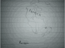 drawing sketch