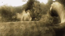 Tyrannosaurus Rex Running GIF - Tyrannosaurus Rex Running Biting GIFs