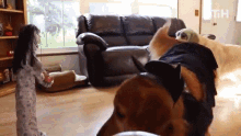 Play Date Dogs GIF - Play Date Dogs Wanna Play GIFs