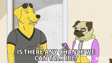 is there any chance we can talk irl mr peanutbutter pickles aplenty bojack horseman lets talk in real life