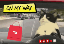 Omw Doordash Cat GIF - Omw Doordash Cat Doordash Omw GIFs