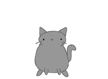 Cat Cat Ilya Fat GIF - Cat Cat Ilya Fat Cute GIFs