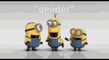 Minions Gender GIF - Minions Gender Minions Laughing GIFs