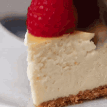 Cheesecake Dessert GIF - Cheesecake Dessert Food GIFs