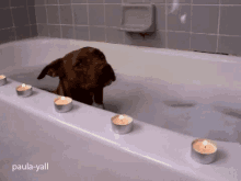bath pauladeen