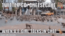 Cheesecake Twittergc GIF - Cheesecake Twittergc Cheese GIFs