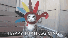 Happy Thanksgiving GIFs | Tenor