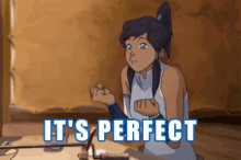 It'S Perfect GIF - Avatar The Legend Of Korra Korra Its Perfect GIFs