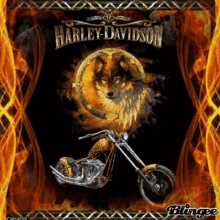 Harley Davidson Bike GIF - Harley Davidson Bike Motorcycle GIFs