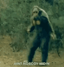 Bigfoot Sasquatch GIF - Bigfoot Sasquatch Aint Nobody Hiding GIFs