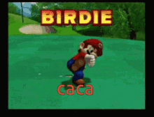 Birdie Caca GIF - Birdie Caca Mario GIFs