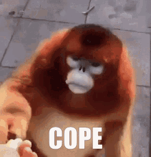 Cope Cope Harder GIF - Cope Cope Harder Monke GIFs