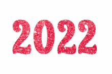 2022 new year nova godina