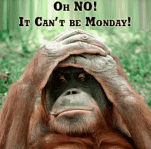 Its Only GIF - Its Only Monday GIFs
