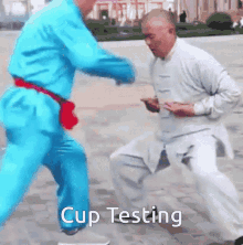 kick balls nuts kicking cup testing