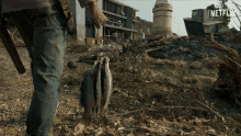 scavenge fish