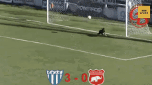 Dog Goal GIF - Dog Goal Soccer GIFs