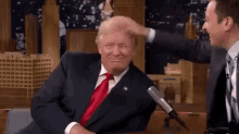 All Natural GIF - Donald Trump Natural Hair GIFs