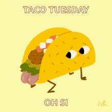 Taco Tuesday GIFs | Tenor