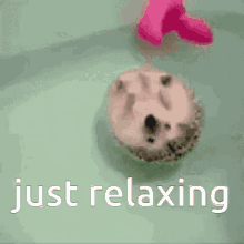 Just Relaxing Floating GIF - Just Relaxing Relaxing Floating GIFs