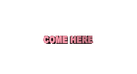 Come Here Hurry Up Sticker - Come Here Come Hurry Up Stickers