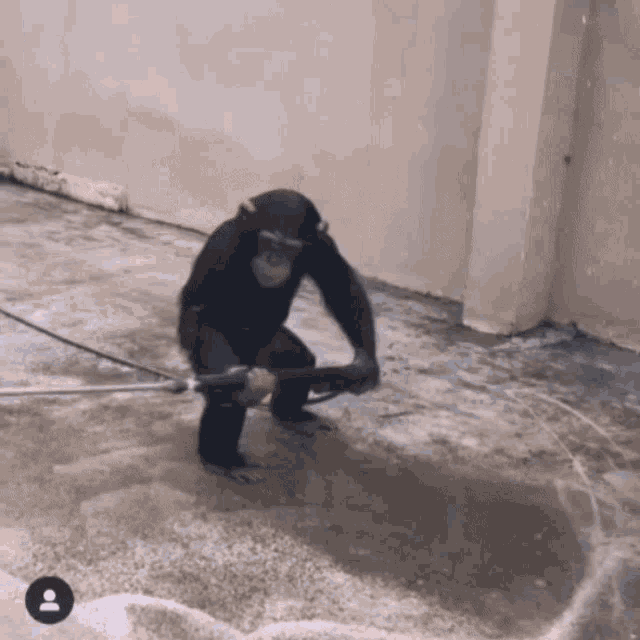 tenor.gif