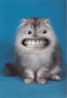 Minha Cara Quando GIF - Cat Cute Smile GIFs