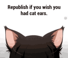 Cat Ears GIF - Cat Ears Republish GIFs