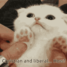 Christian Liberal GIF - Christian Liberal Magic GIFs