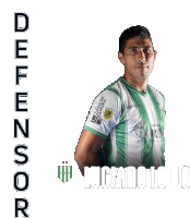 Defensor Luciano Lollo Sticker - Defensor Luciano Lollo Liga Profesional De Fútbol De La Afa Stickers