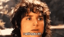 I Will Take It Lord Of The Rings GIF - I Will Take It Lord Of The Rings Frodo GIFs