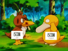 iscom iscom lille iscom toulouse iscom bonk