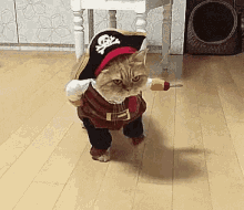 Kitty Pirate GIF - Kitty Pirate GIFs