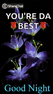 Good Night Flowers GIF - Good Night Flowers Changing Colors GIFs