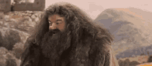 Hagrid Yay GIF - Hagrid Harry Potter Excited GIFs