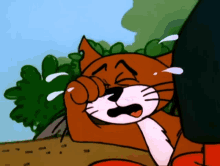 crying feline