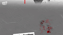 What The Hell Happened Nicklas Bendtner GIF - What The Hell Happened Nicklas Bendtner What Happened GIFs
