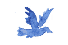 Flying Blue Bird GIF - Blue Bluebird Bird GIFs