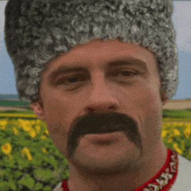 tenor.gif