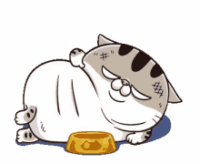 ami fat cat im sexy chubby pet bowl