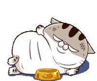 Ami Fat Cat Sticker - Ami Fat Cat Im Sexy Stickers