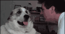 Dog Slap GIF - Dog Slap Man GIFs