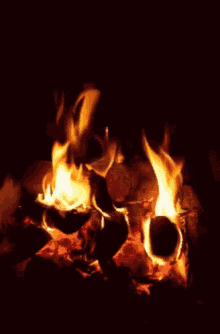 The Goon Fire GIF - The Goon Fire Christmas Fire GIFs