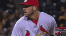 siegrist cardinals