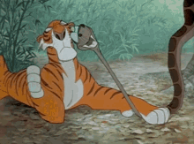 Kaa Shere Khan GIF - Kaa Shere Khan Tiger GIFs