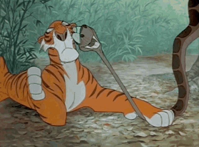 kaa-shere-khan.gif