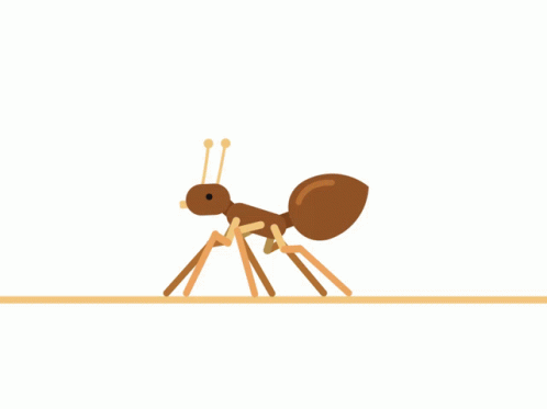 Ant Ants GIF - Ant Ants Walking GIFs