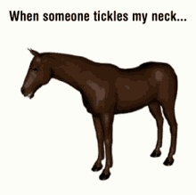 Tickle Horse GIF - Tickle Horse When Someone Tickles My Neck GIFs