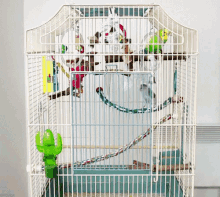 Bird Cage Pacing GIF - Bird Cage Pacing Waiting GIFs