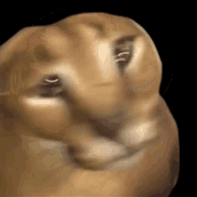 Floppa Based GIF - Floppa Based Derbo GIFs